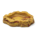 Plato para Reptiles