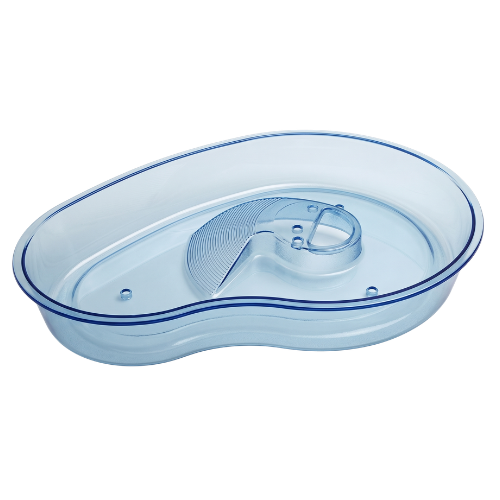 Piscina Para Tortugas Con Plataforma
