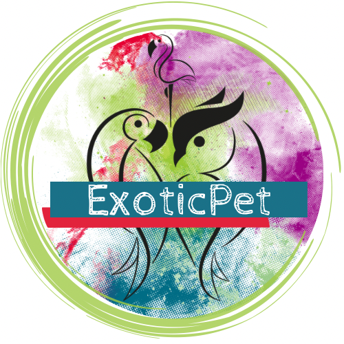 ExoticPet